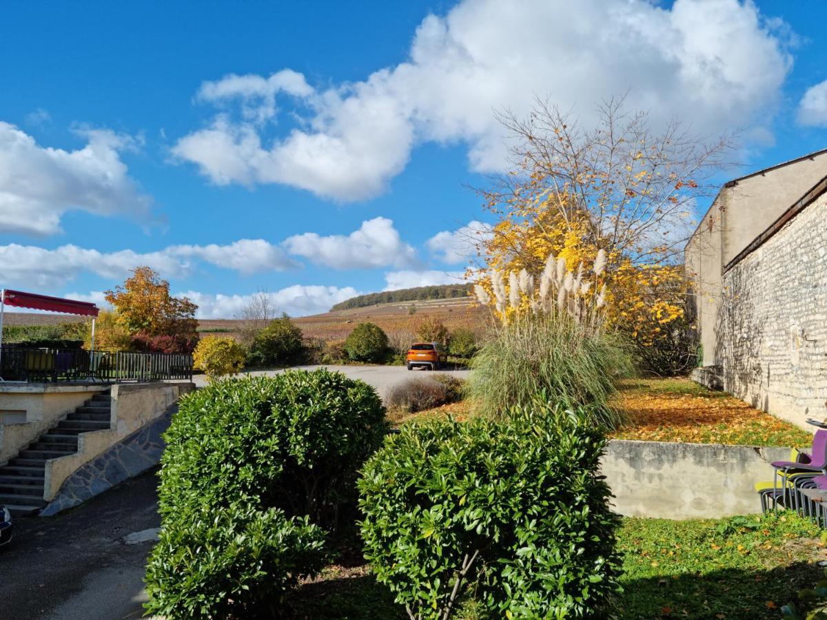Logis Les Terrasses De Corton Ladoix-Serrigny