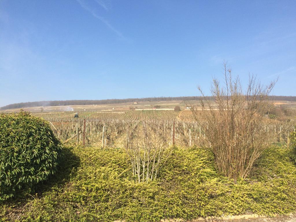 Logis Les Terrasses De Corton 3* Ladoix-Serrigny